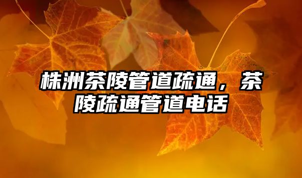 株洲茶陵管道疏通，茶陵疏通管道電話